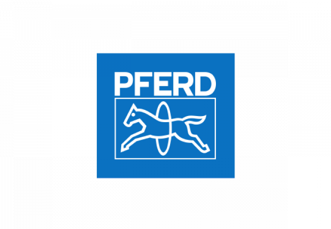 Pferd